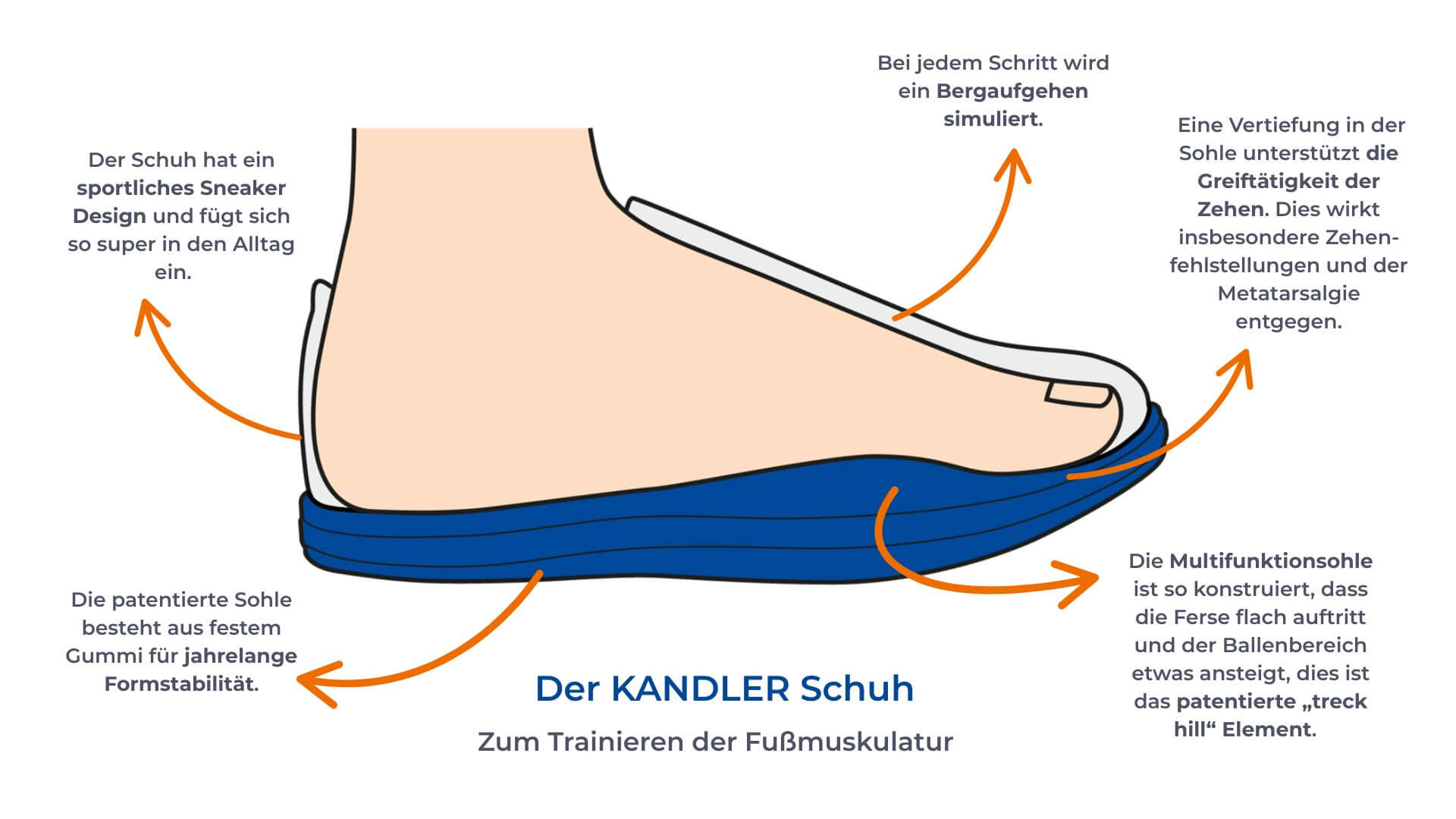 Schaubild des Gesundheitsschuh KANDLER